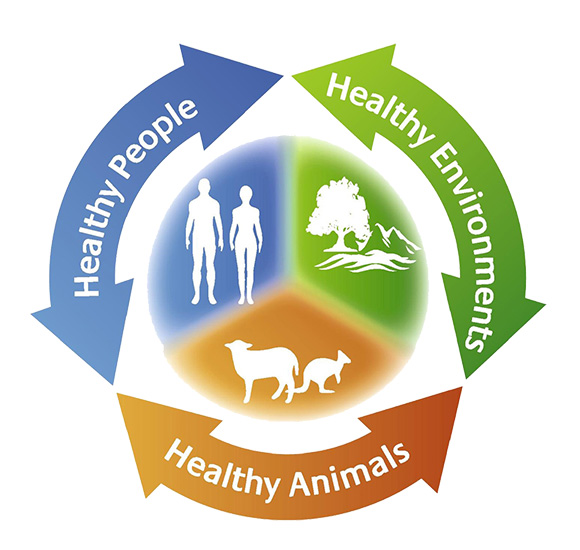 One Health National Strategy
